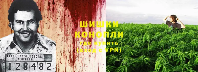 Каннабис SATIVA & INDICA  Бузулук 